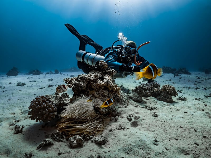 Scuba Diving Gear